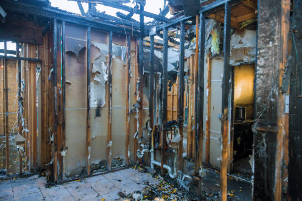 Professional Soot Cleanup technician working in Lloyd Harbor, NY